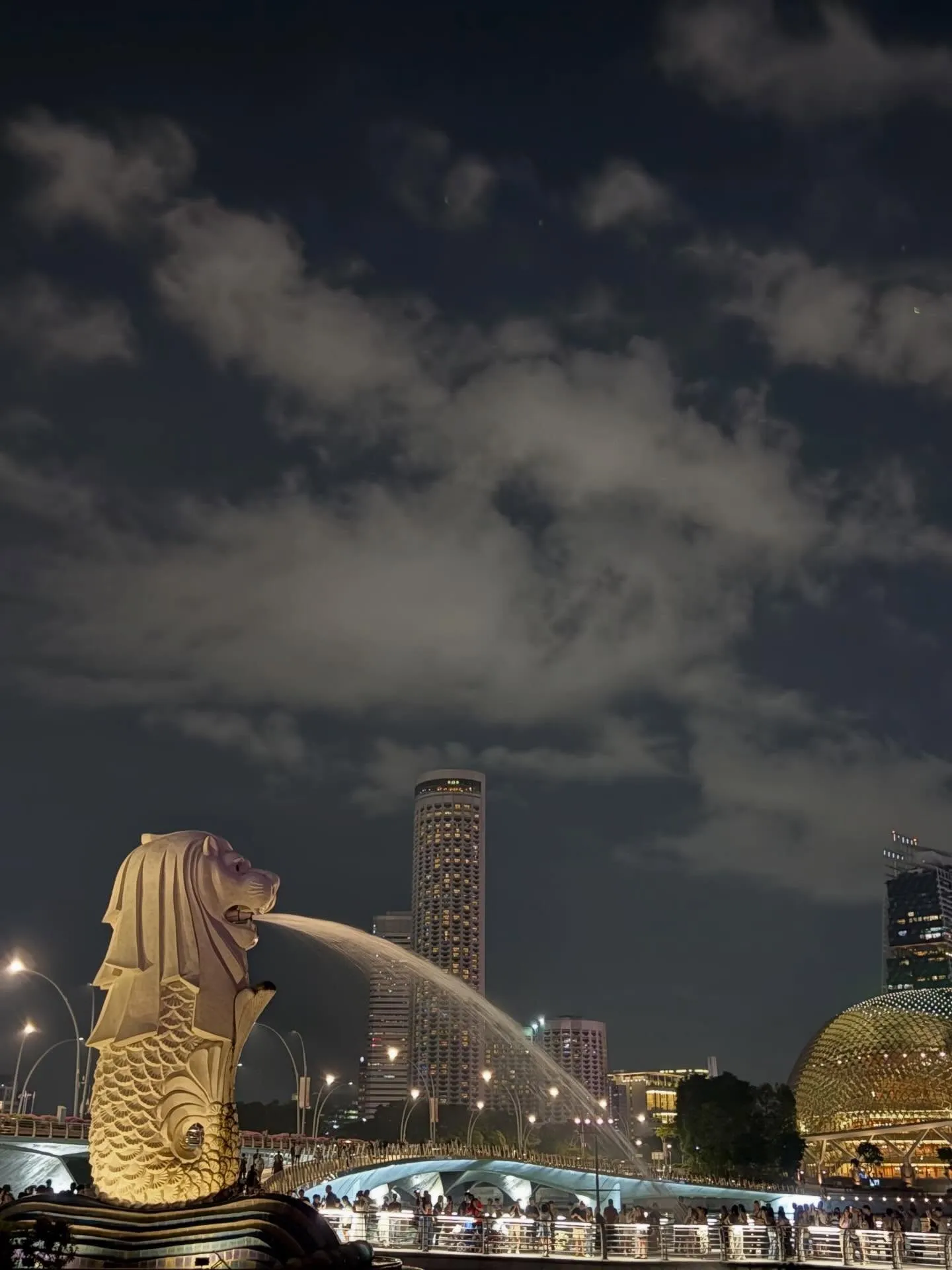 シンガポール🇸🇬クリニック